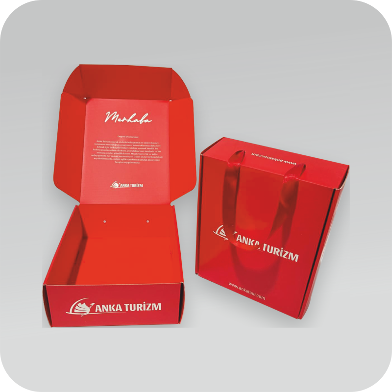 Baskılı Kargo Kutuları 2